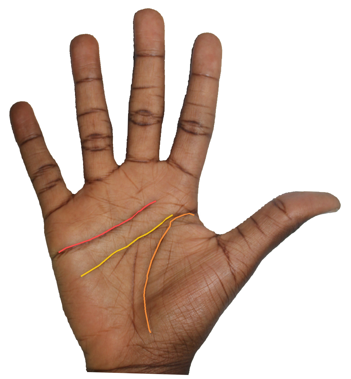 Palm reading overlay for: What does my heart line reveal about my emotional readiness for commitment?