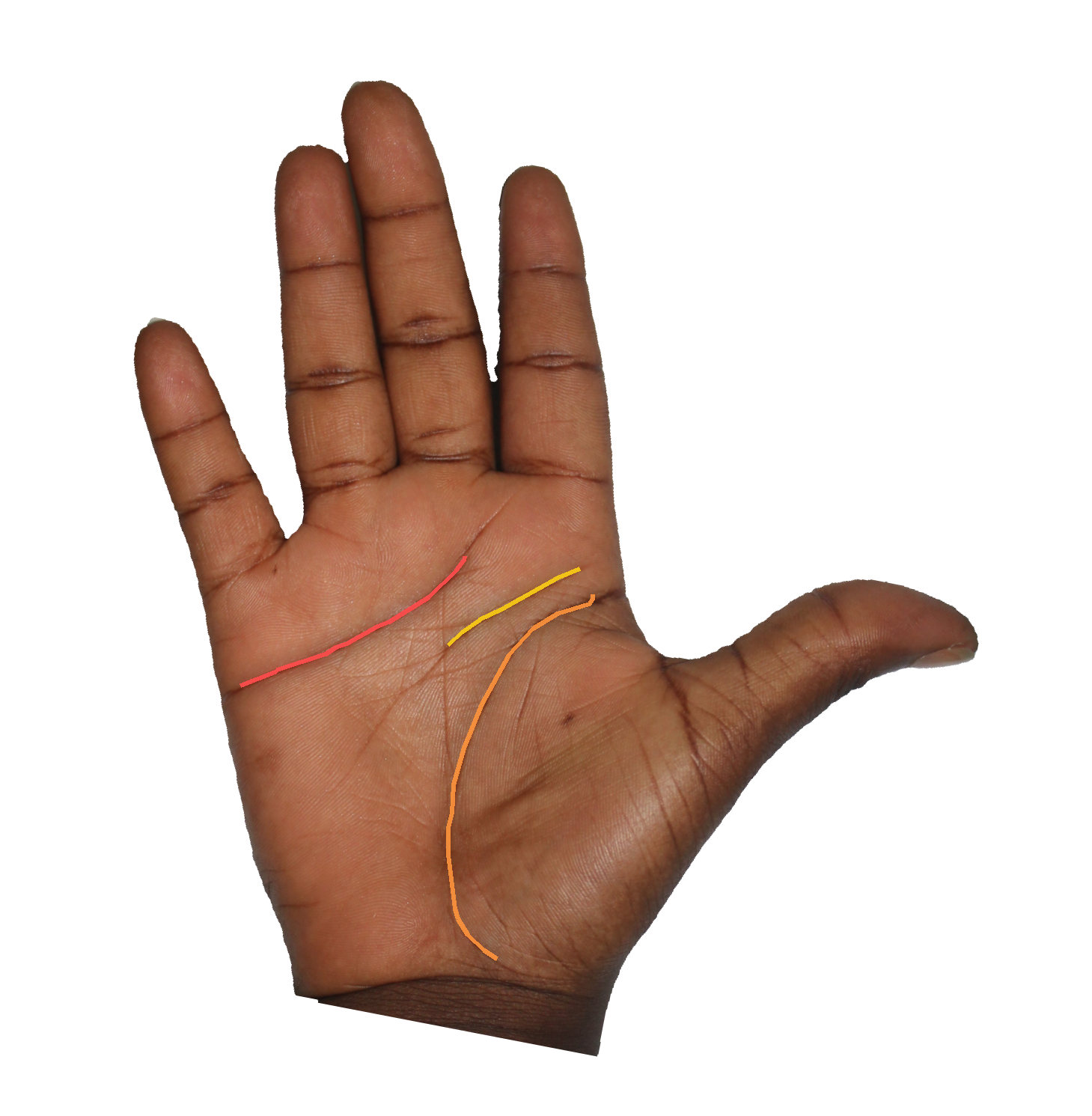 Palm reading overlay for: What does my heart line say about how I love?
