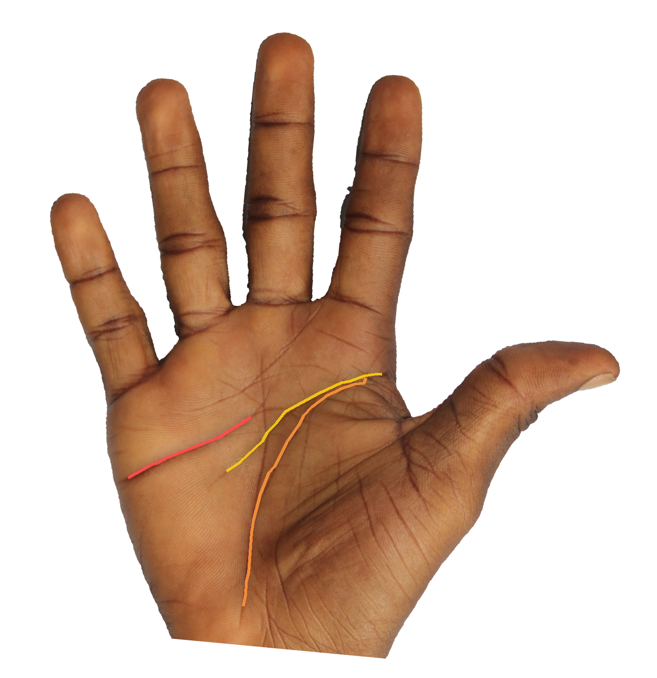 Palm reading overlay for: What does my head line say about how I think under pressure?