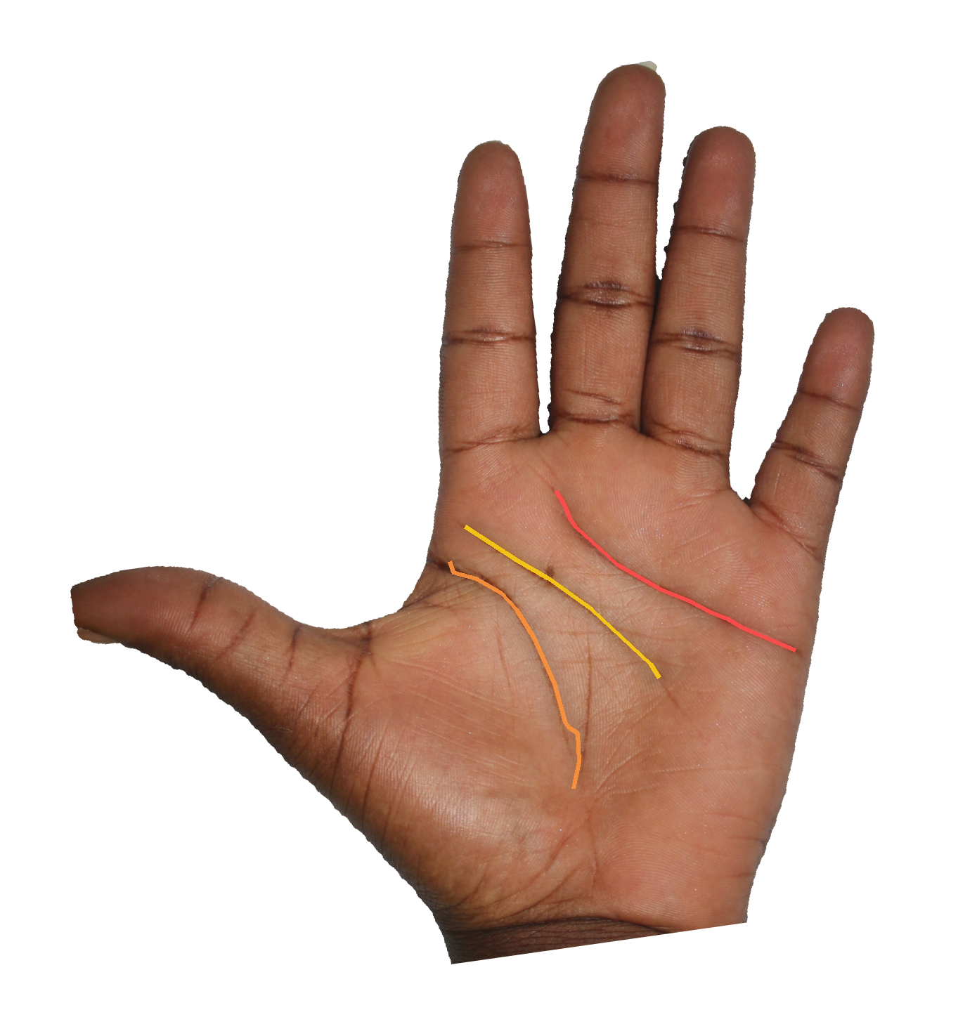 Palm reading overlay for: What does my life line reveal about my vitality this season?