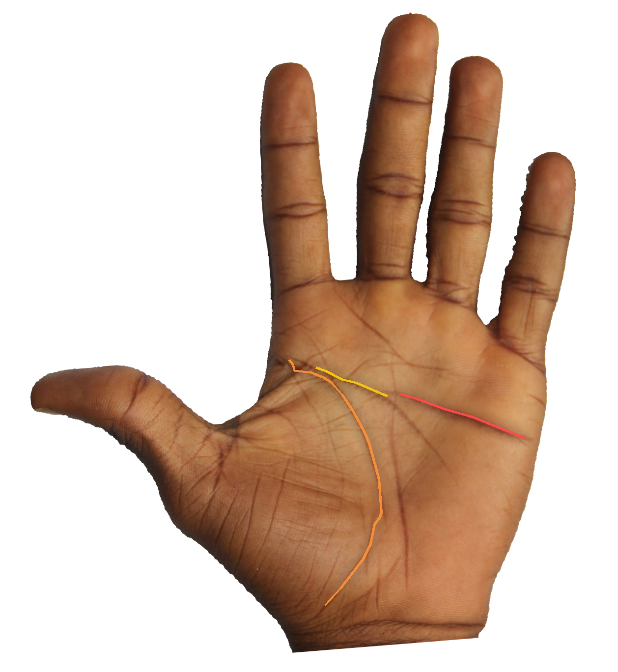 Palm reading overlay for: What does the fate line reveal about whether I am on my correct path?
