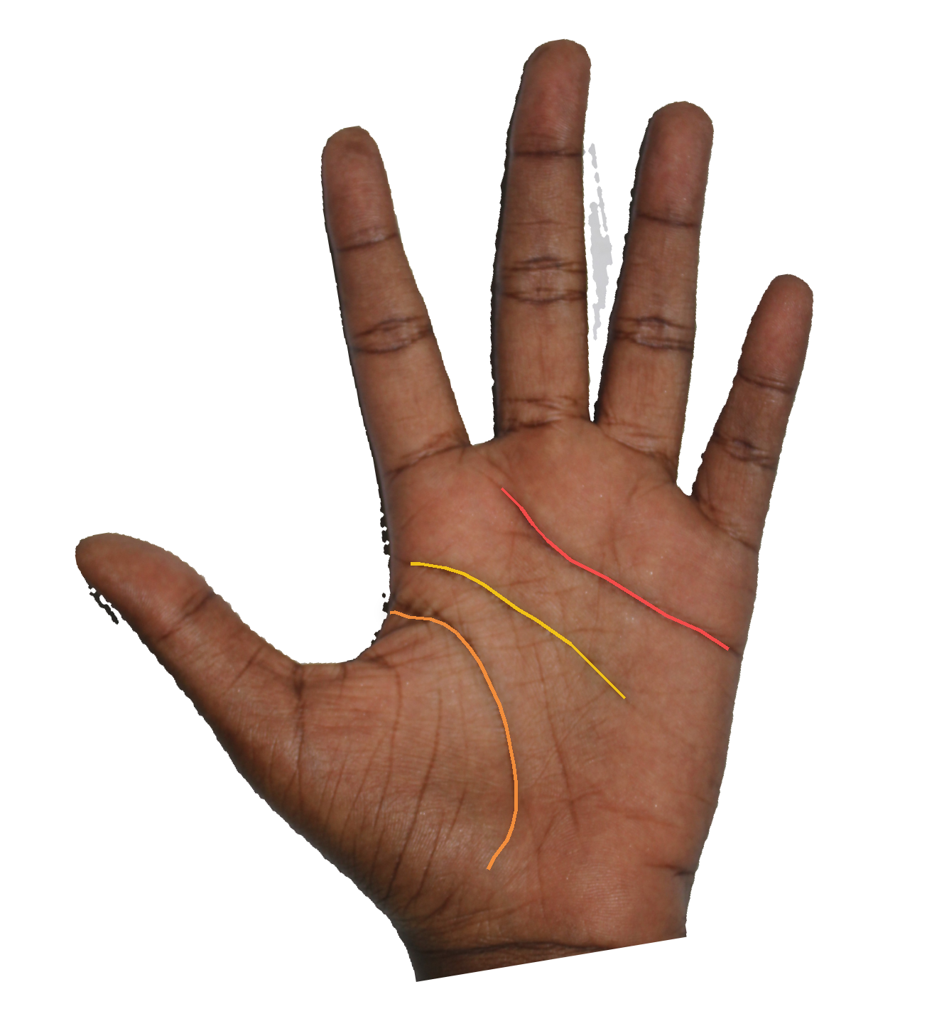 Palm reading overlay for: What does the Mount of Saturn reveal about my relationship to discipline?