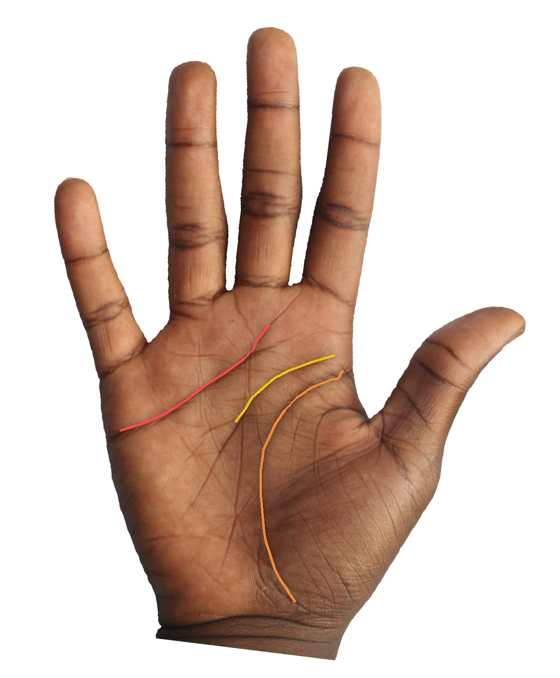 Palm reading overlay for: What does the Mount of Mercury say about my communicative gifts?