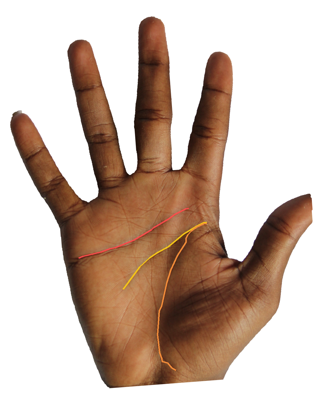 Palm reading overlay for: What does the overall palm reading say about my next chapter?