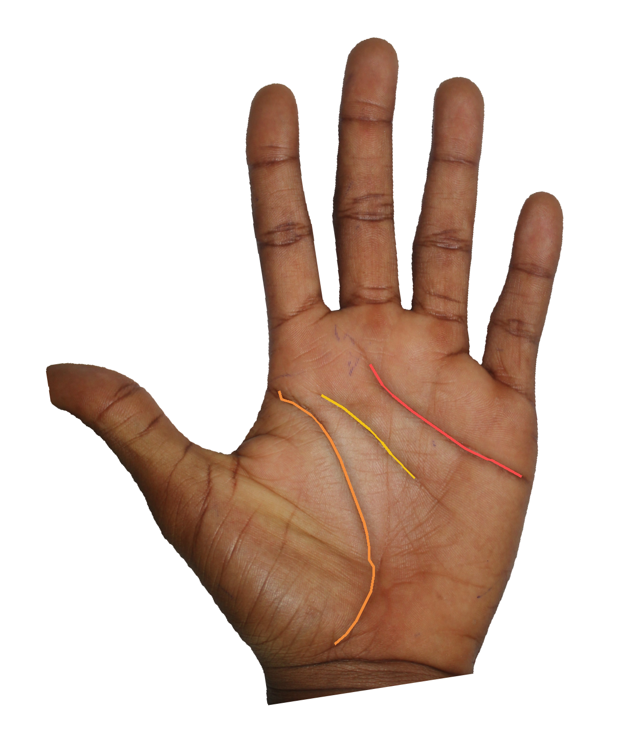Palm reading overlay for: How does my heart line read my capacity for deep partnership?