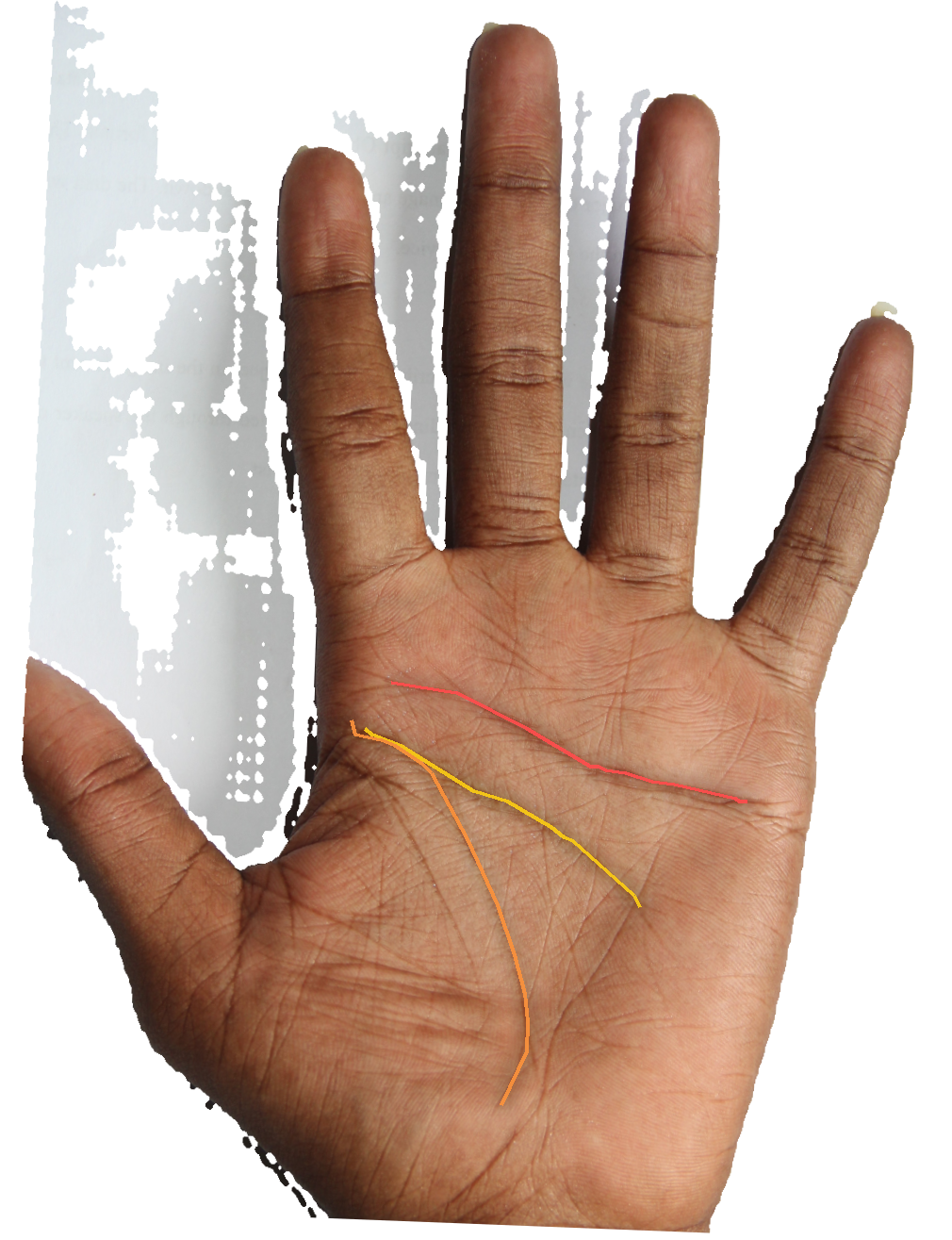 Palm reading overlay for: Is my head line built for analytical work or for synthesis?