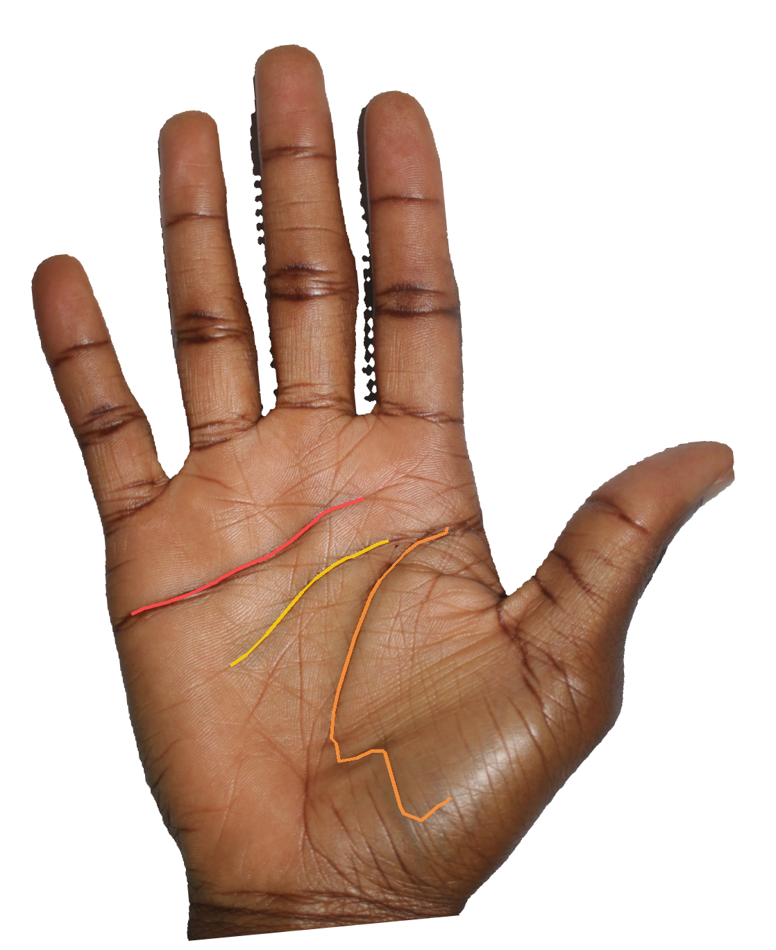 Palm reading overlay for: Is the depth of my life line telling me about energy reserves I haven't tapped?