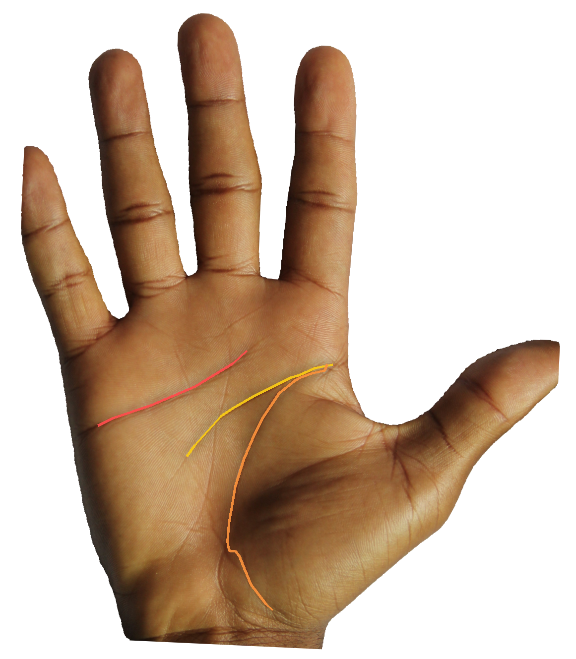Palm reading overlay for: Does my fate line indicate a midlife pivot worth preparing for?