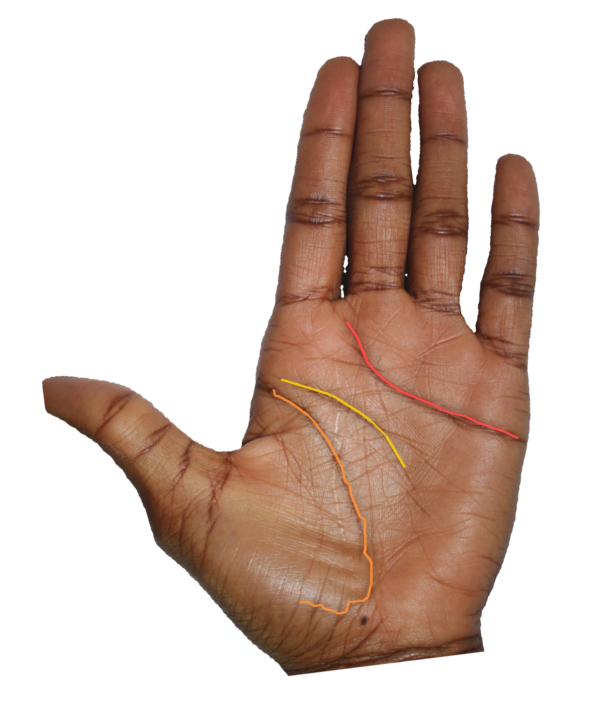Palm reading overlay for: How does the Mount of Jupiter speak to my hunger for leadership?