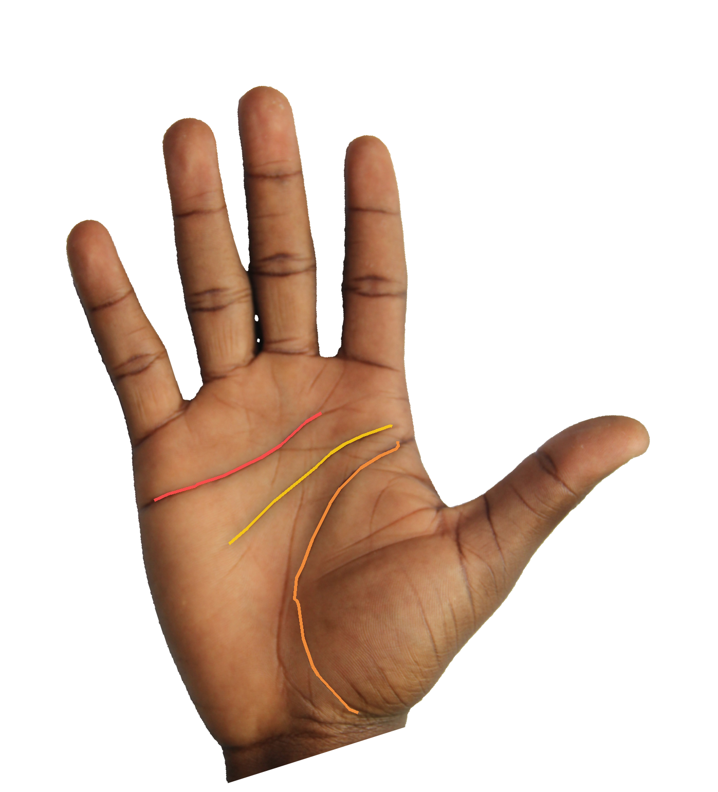 Palm reading overlay for: How does the Mount of Mercury speak to commerce, persuasion, and trade?