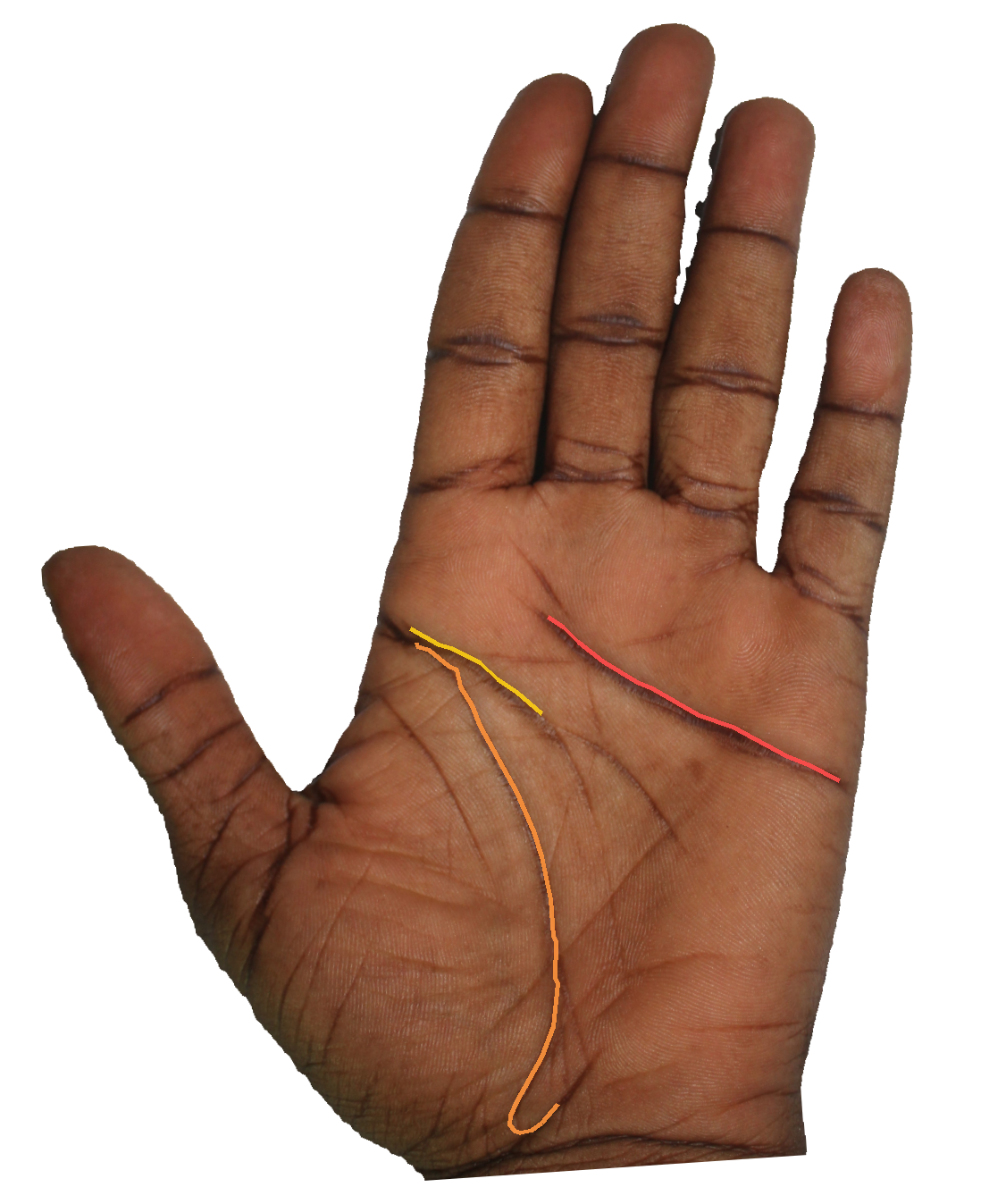 Palm reading overlay for: How do the marriage lines speak to commitment patterns?