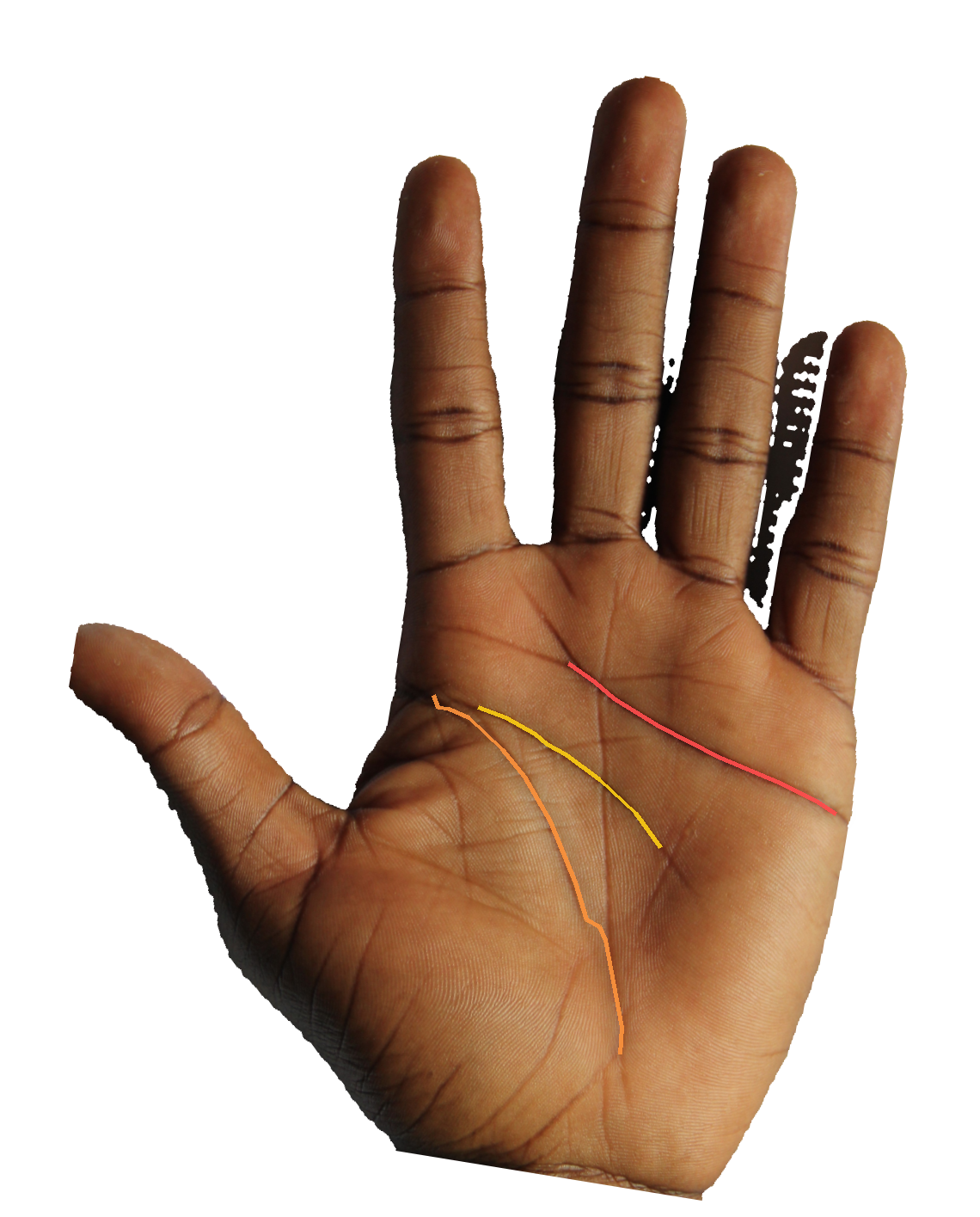 Palm reading overlay for: How do all four major lines integrate into my present situation?