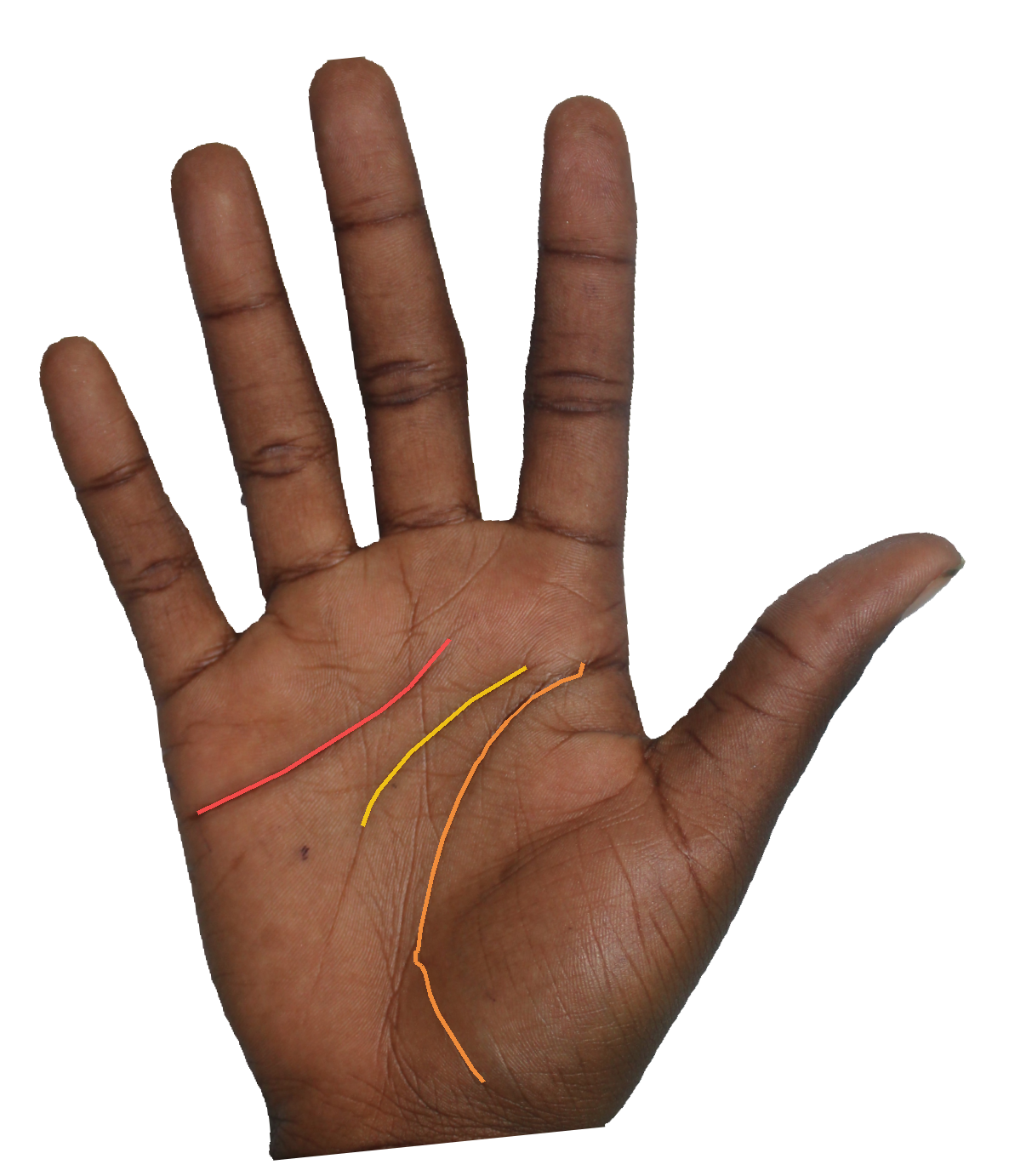 Palm reading overlay for: What does my life line say about coming transitions?