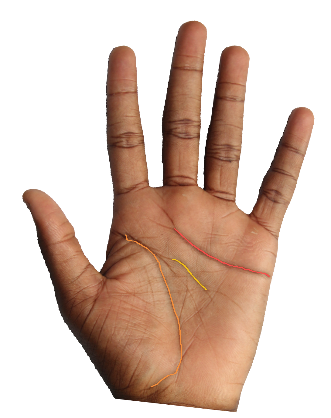 Palm reading overlay for: What is the fate line saying about external versus self-chosen direction?