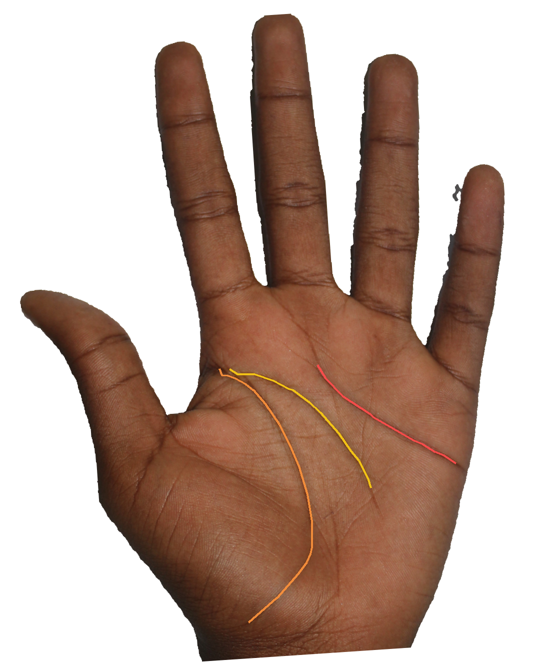 Palm reading overlay for: Does my Mount of Jupiter signal natural-born leadership or learned ambition?