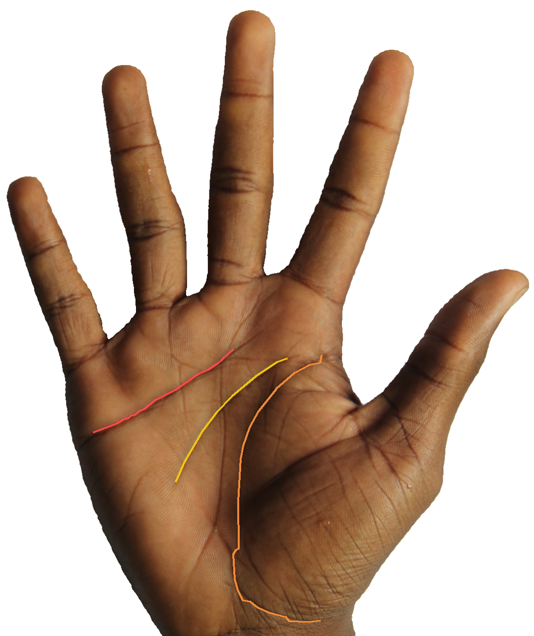 Palm reading overlay for: What does Saturn's mount say about whether I respect limits?