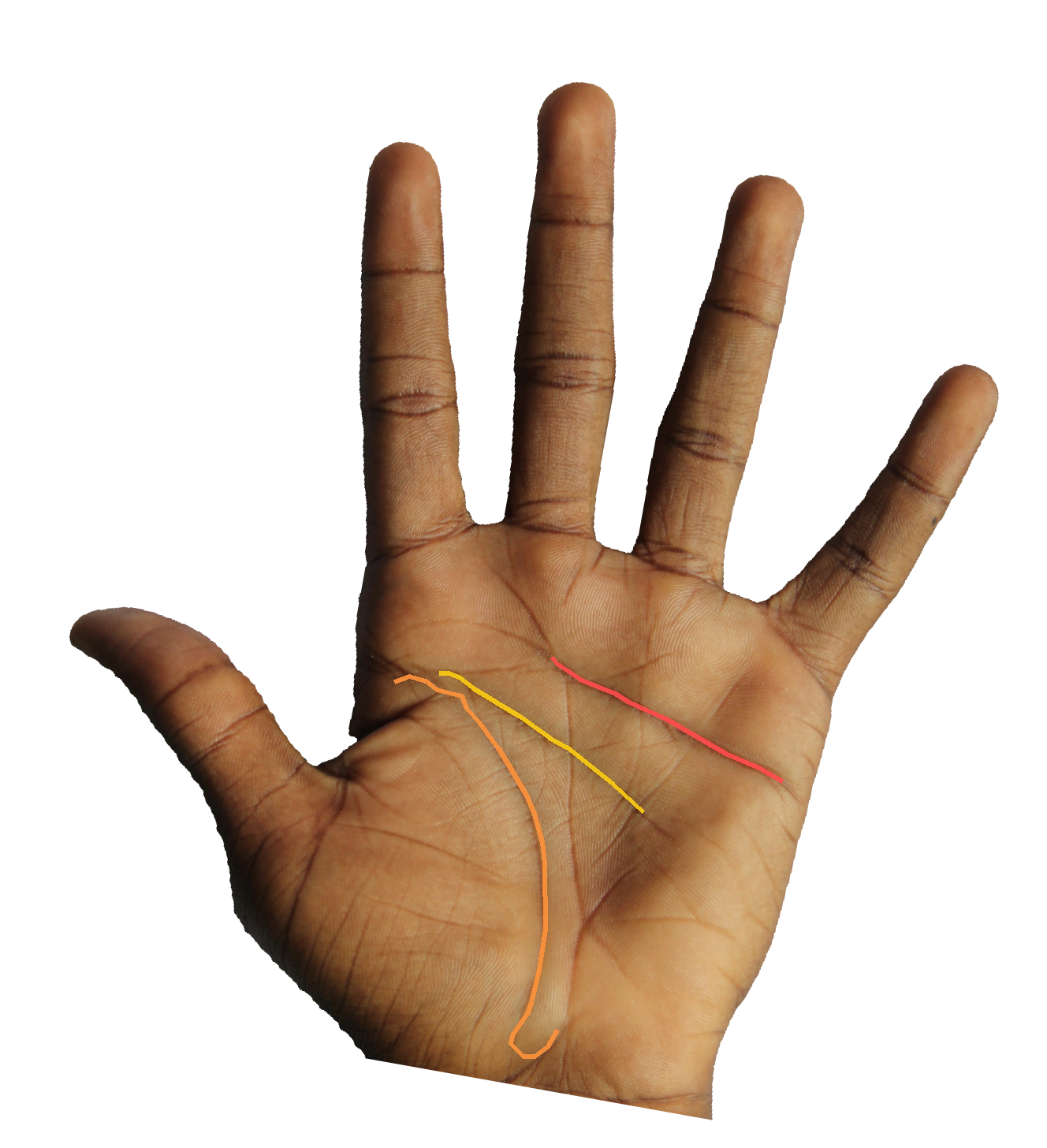 Palm reading overlay for: Does my Mount of Mercury indicate verbal or written intelligence?