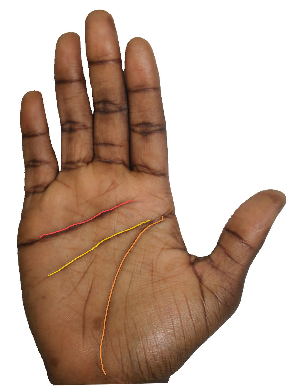 Palm reading overlay for: Is my heart line warning me about an emotional pattern that repeats?