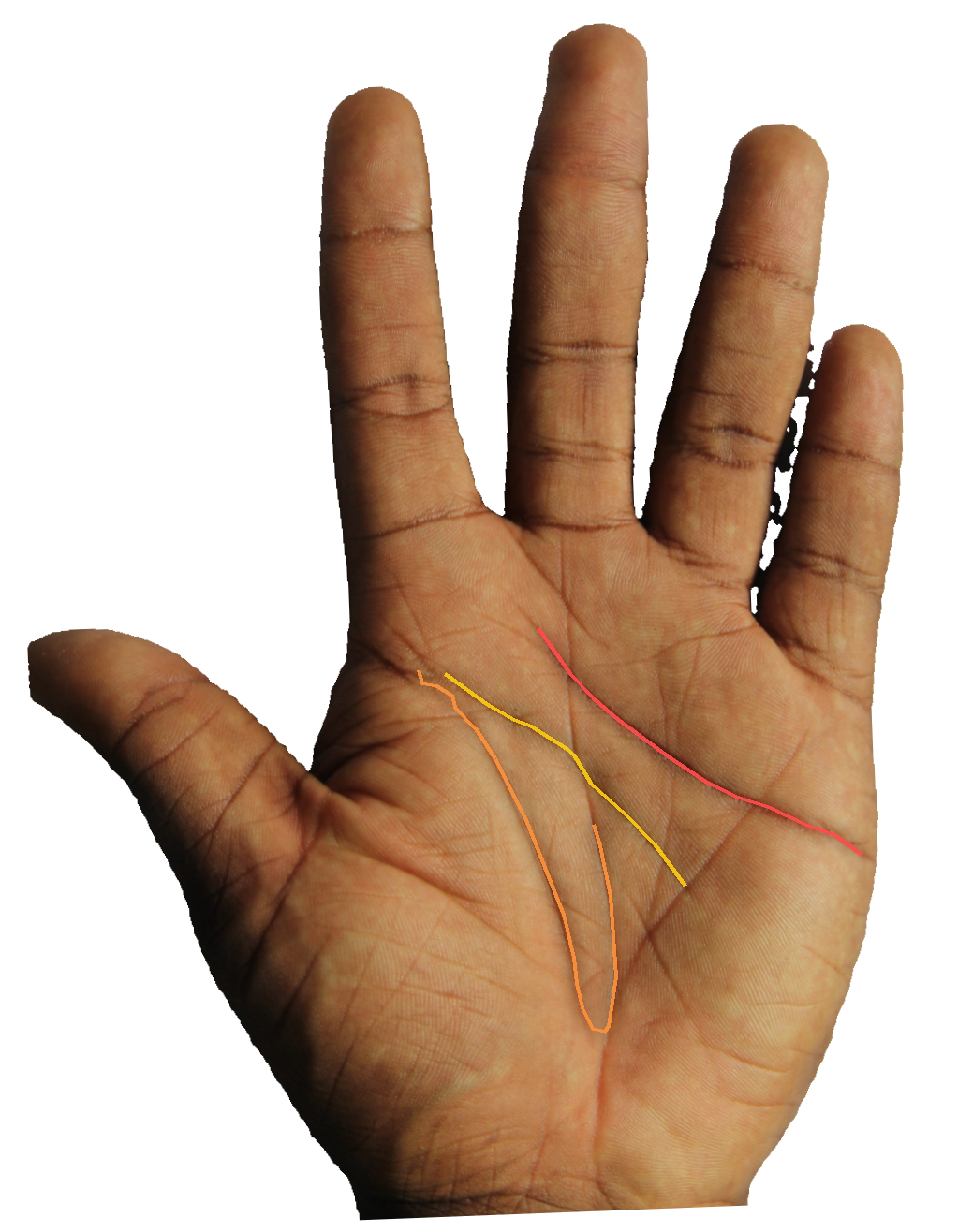 Palm reading overlay for: Does my head line indicate caution or risk-tolerance in major choices?