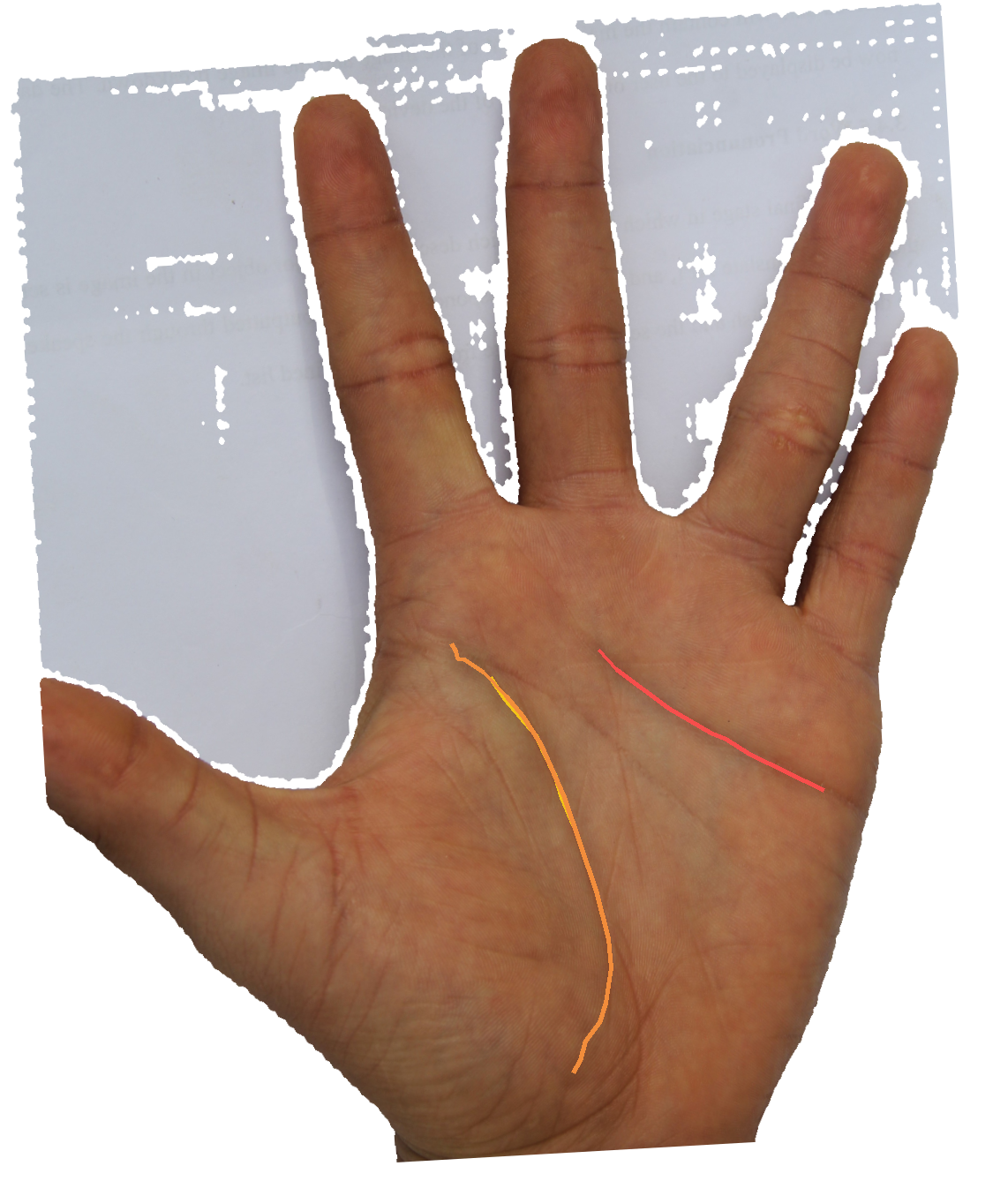 Palm reading overlay for: Does the Mount of Saturn point me toward scholarly or contemplative work?