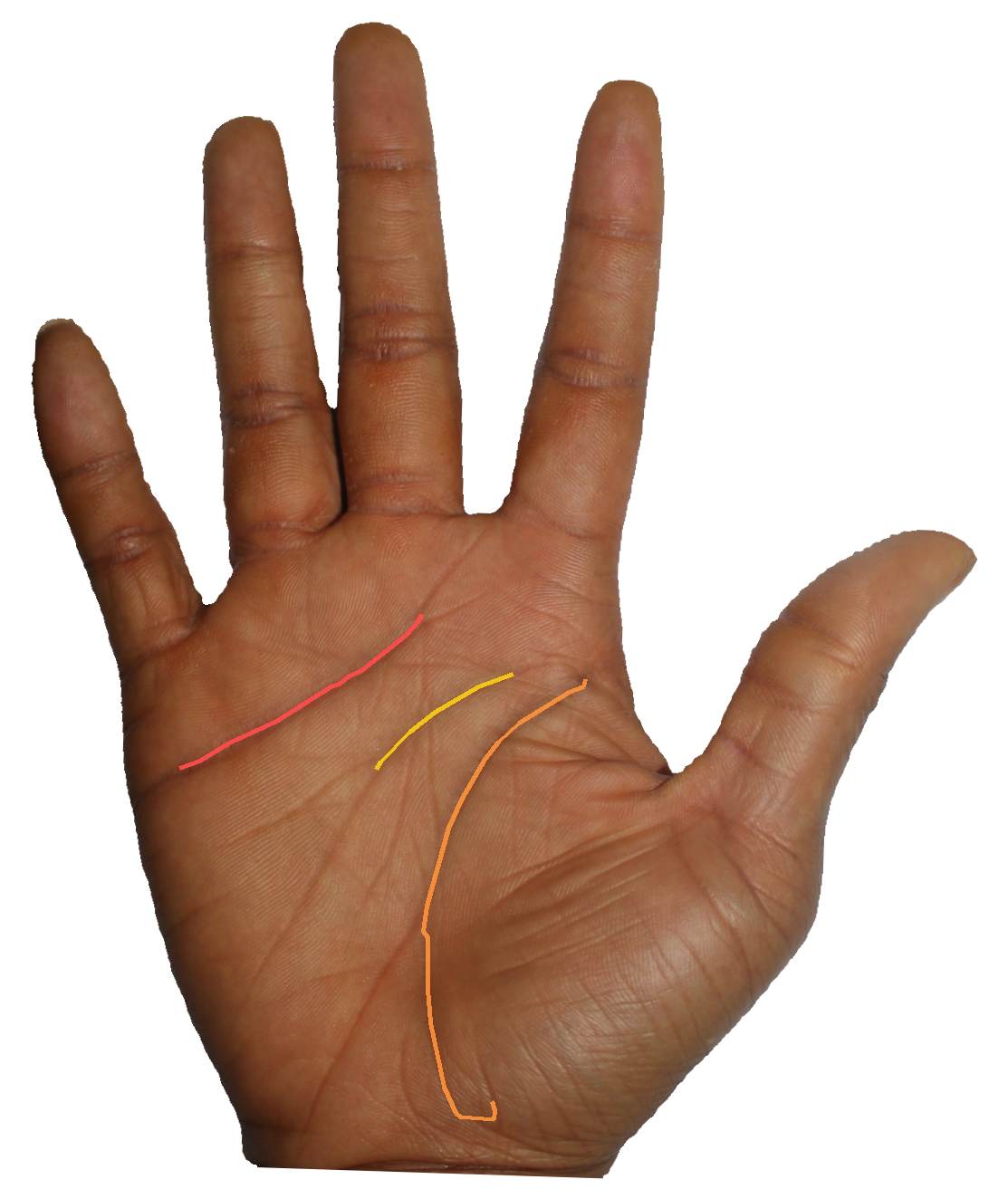 Palm reading overlay for: What does the depth of my marriage line say about emotional gravity?