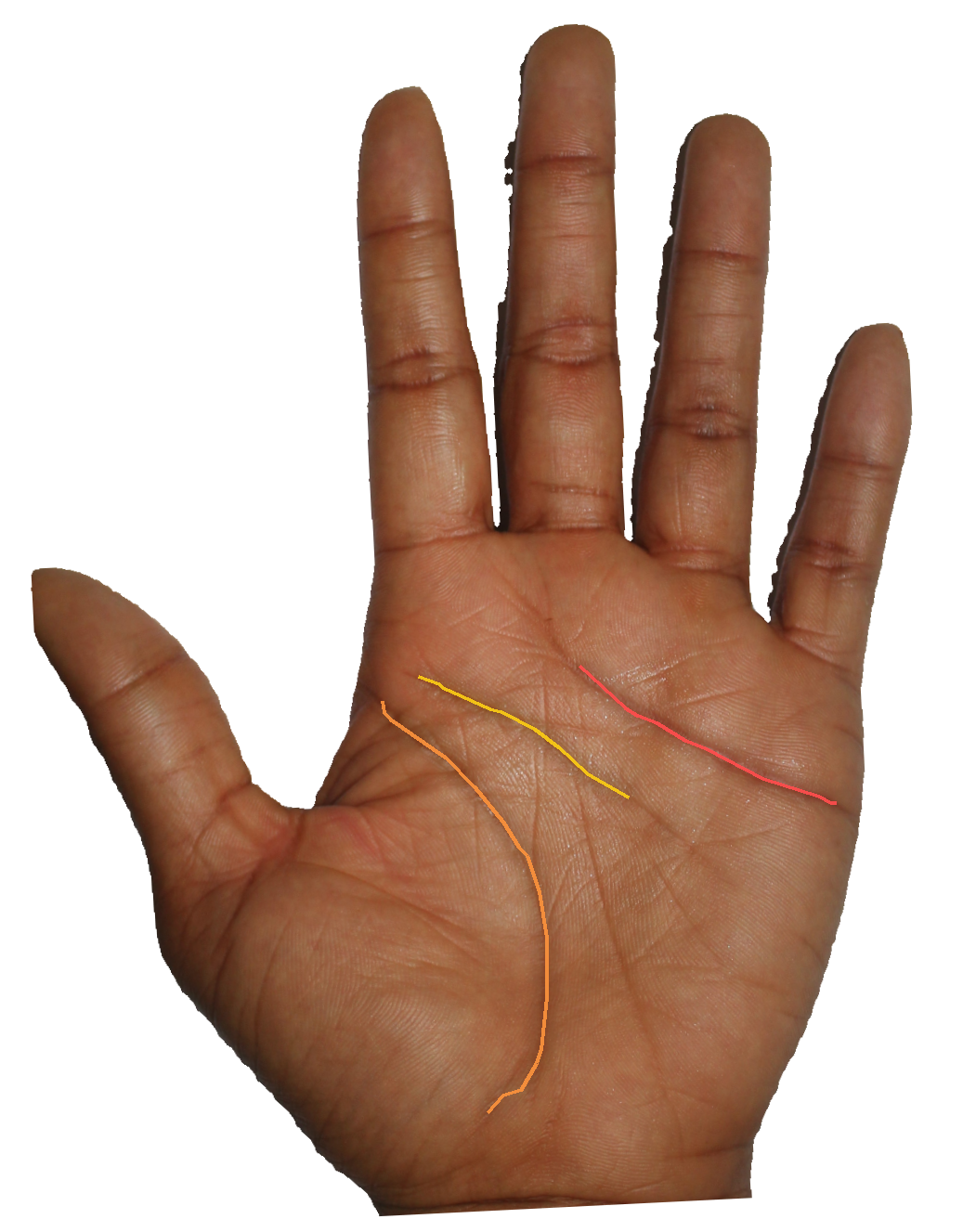 Palm reading overlay for: What does my heart line say about how I love?