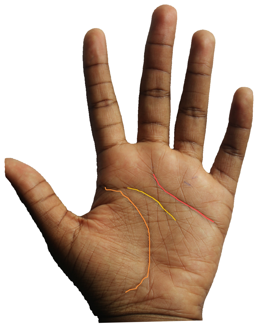 Palm reading overlay for: What does my head line say about how I think under pressure?