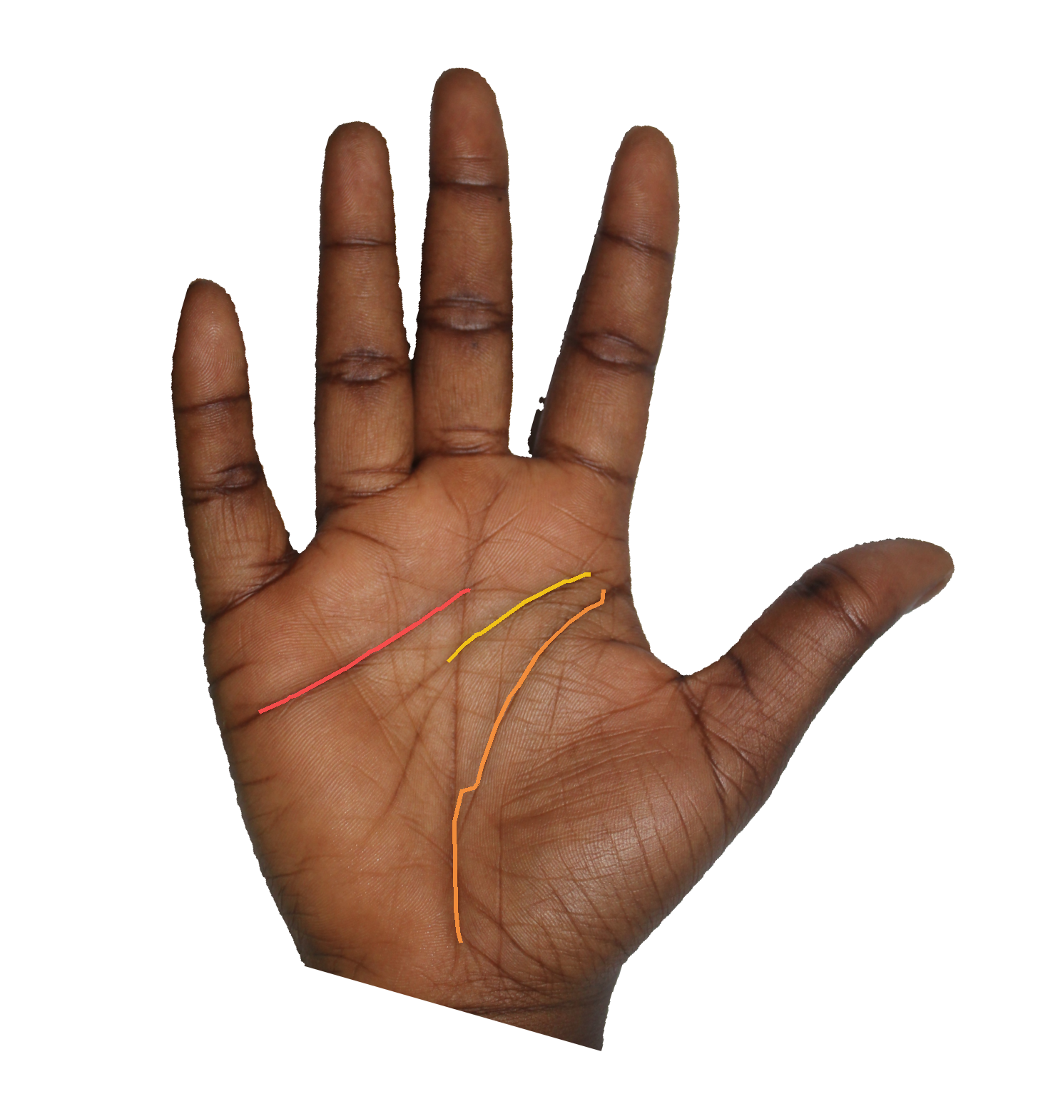 Palm reading overlay for: What does my life line reveal about my vitality this season?