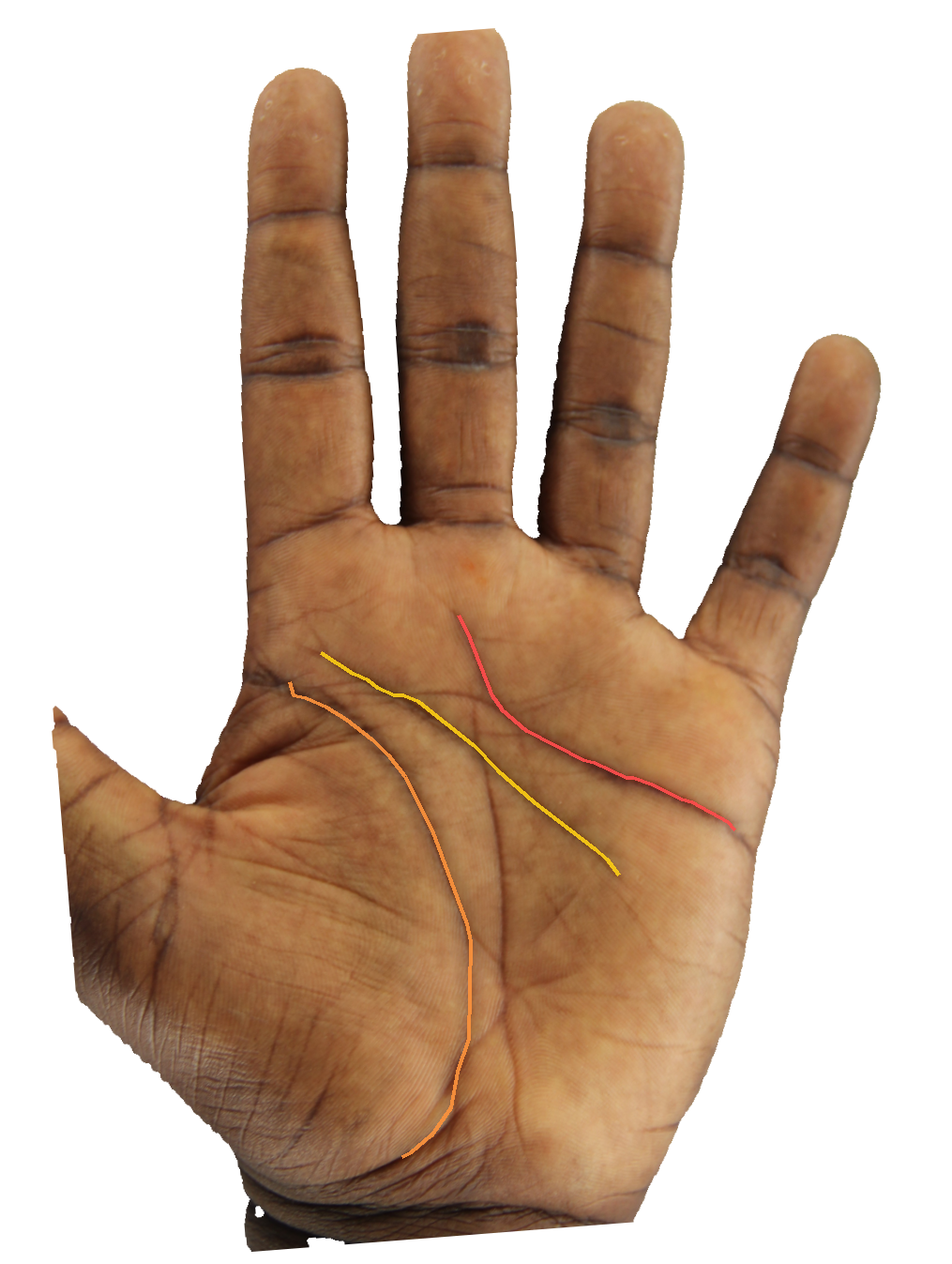 Palm reading overlay for: What does the fate line reveal about whether I am on my correct path?