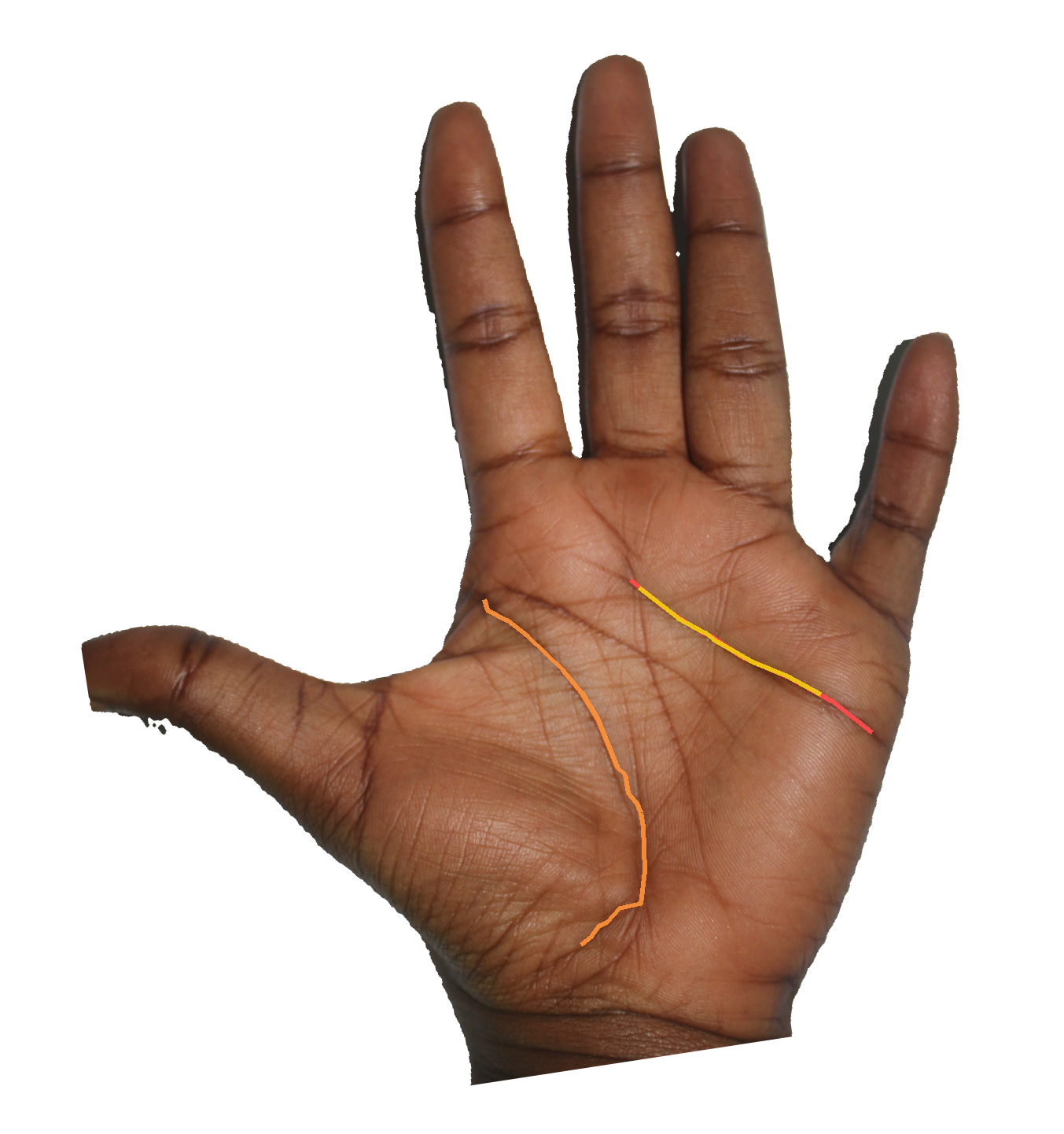 Palm reading overlay for: What does a prominent Mount of Jupiter say about my relationship to authority?