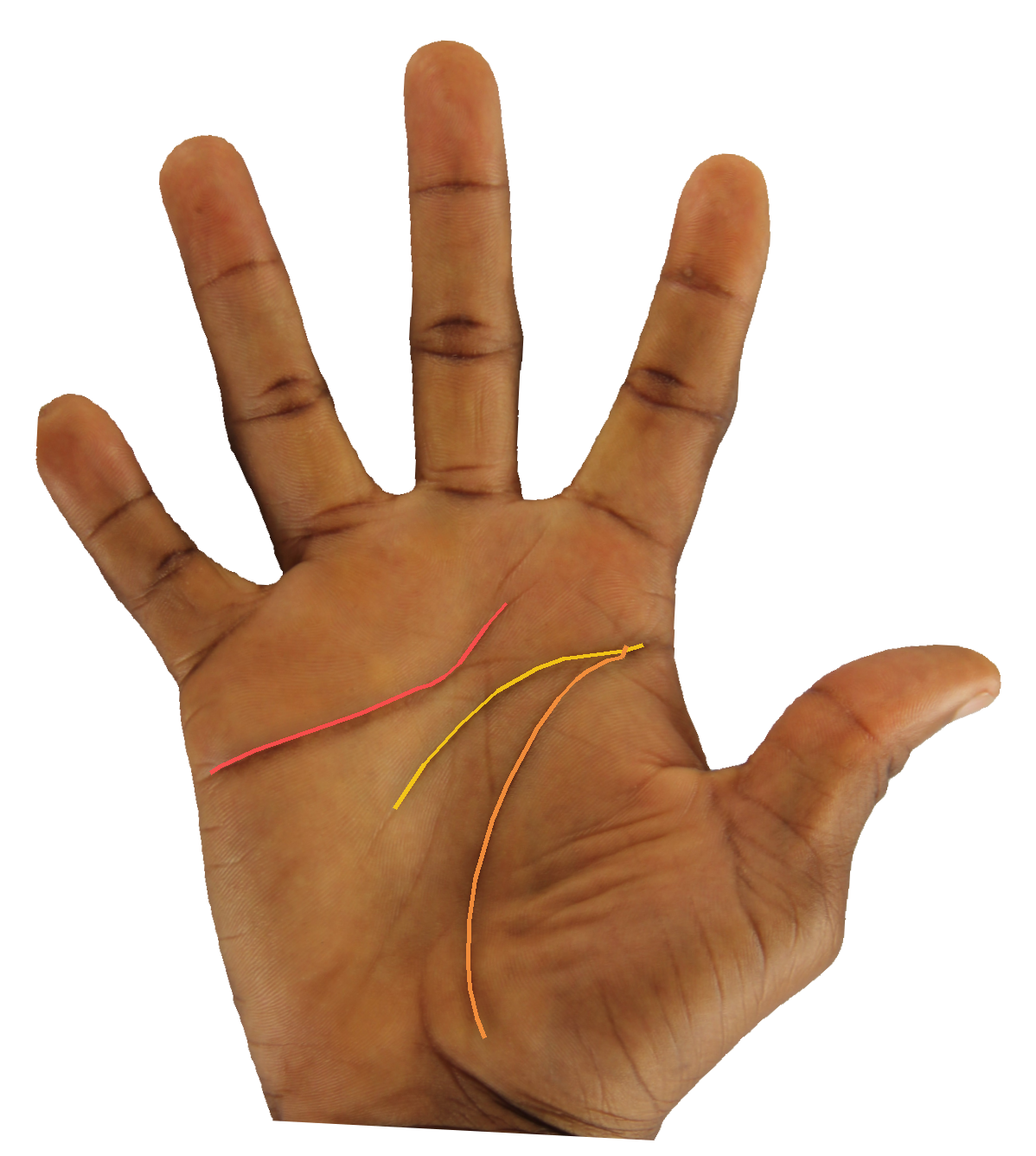 Palm reading overlay for: What does the Mount of Saturn reveal about my relationship to discipline?