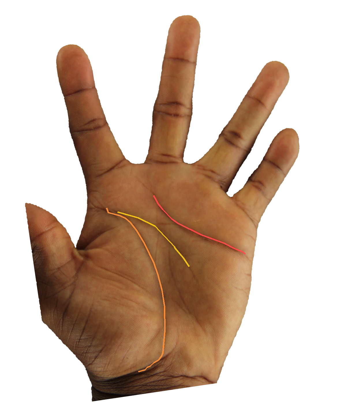 Palm reading overlay for: What does the Mount of Mercury say about my communicative gifts?