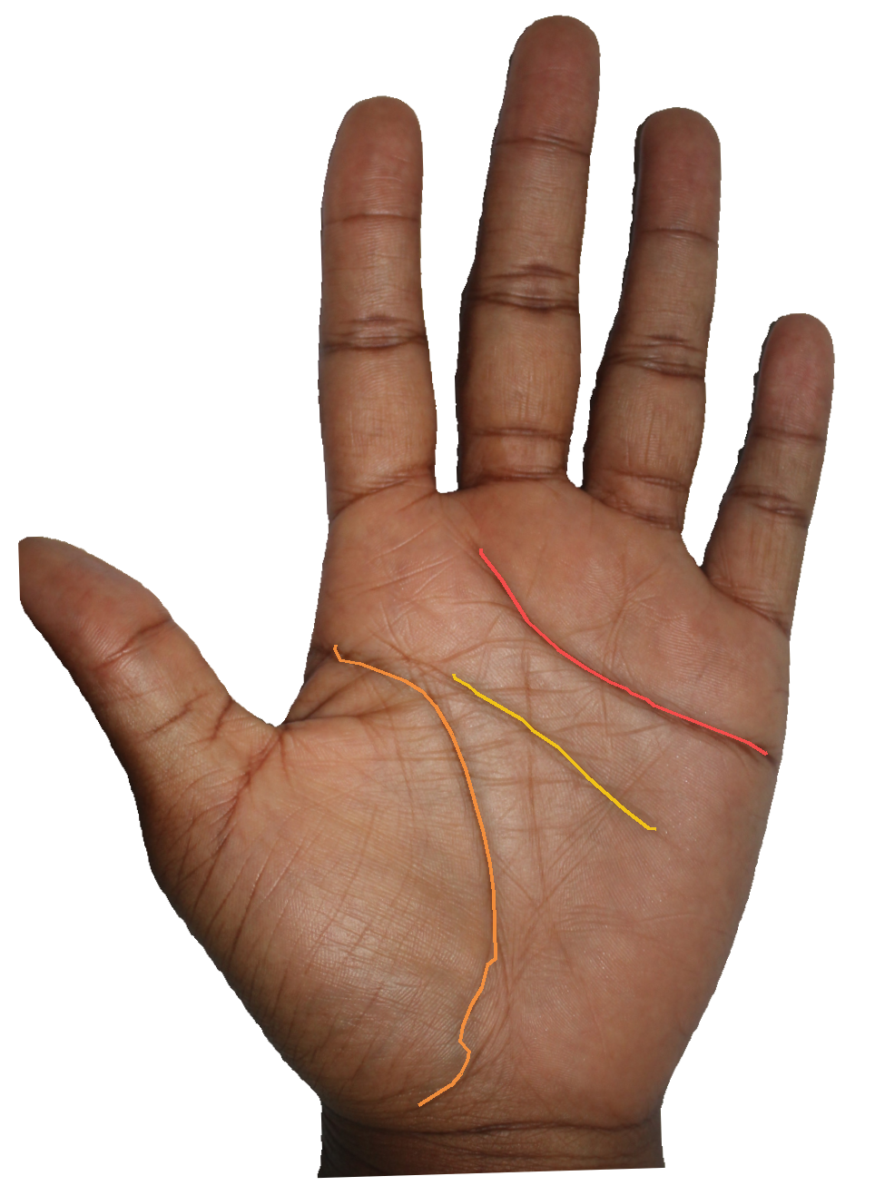 Palm reading overlay for: What do my marriage lines reveal about the timing of partnership?