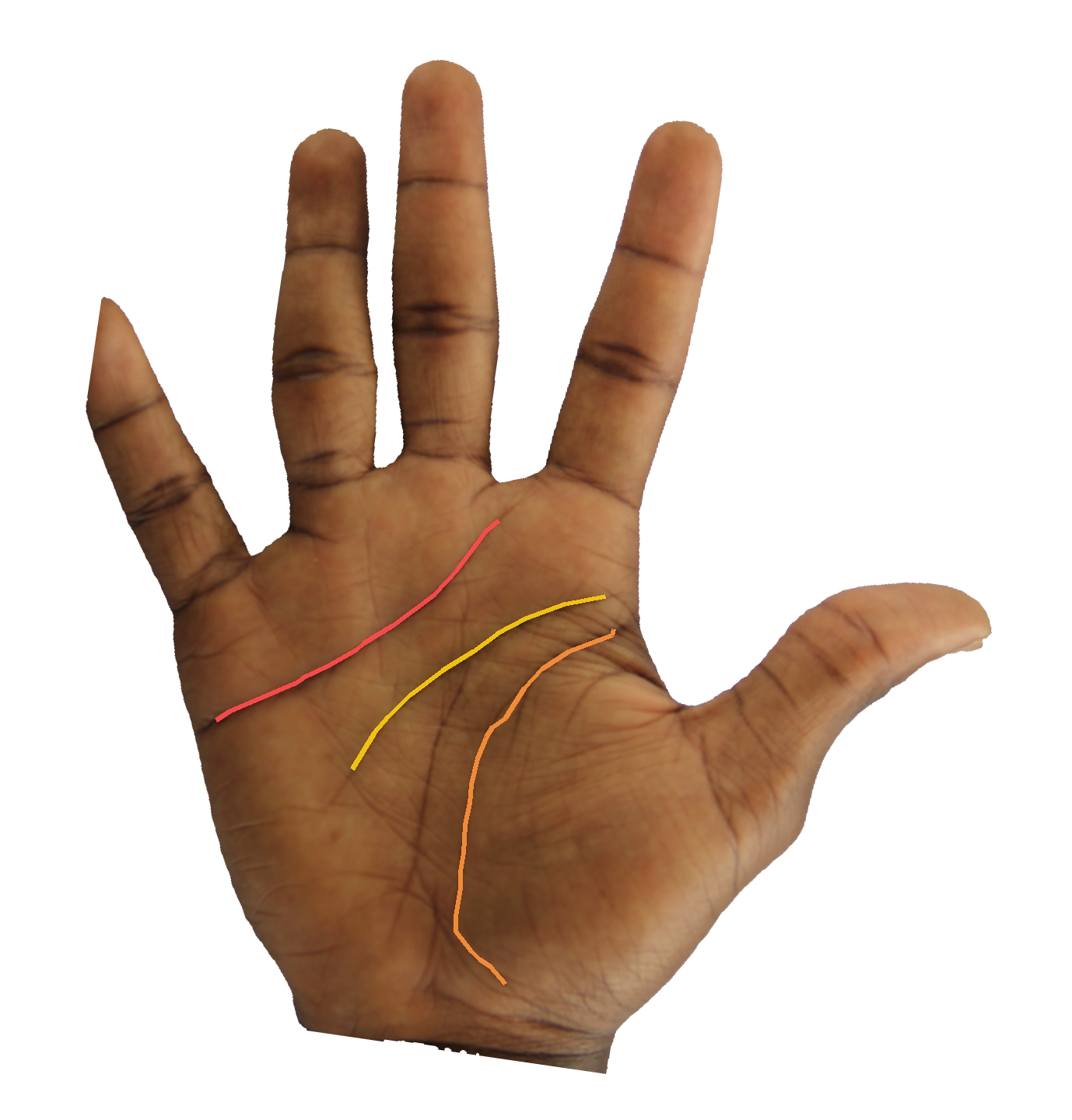 Palm reading overlay for: What does the overall palm reading say about my next chapter?