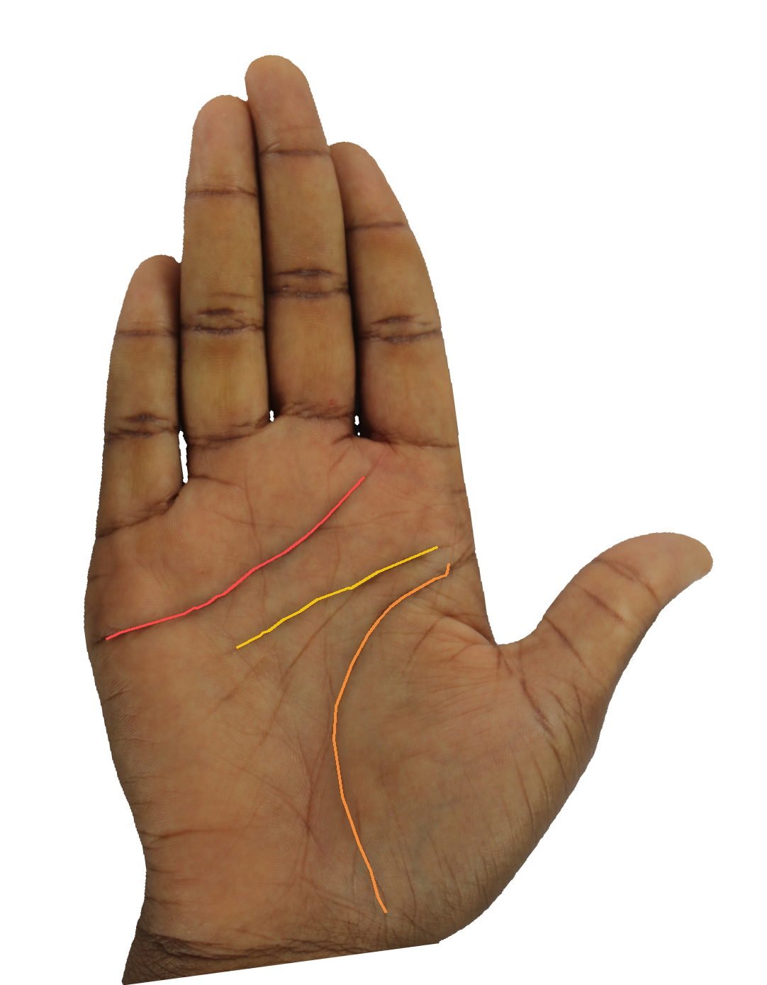 Palm reading overlay for: How does my heart line read my capacity for deep partnership?